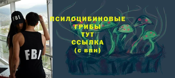 ГАЛЛЮЦИНОГЕННЫЕ ГРИБЫ Гусь-Хрустальный